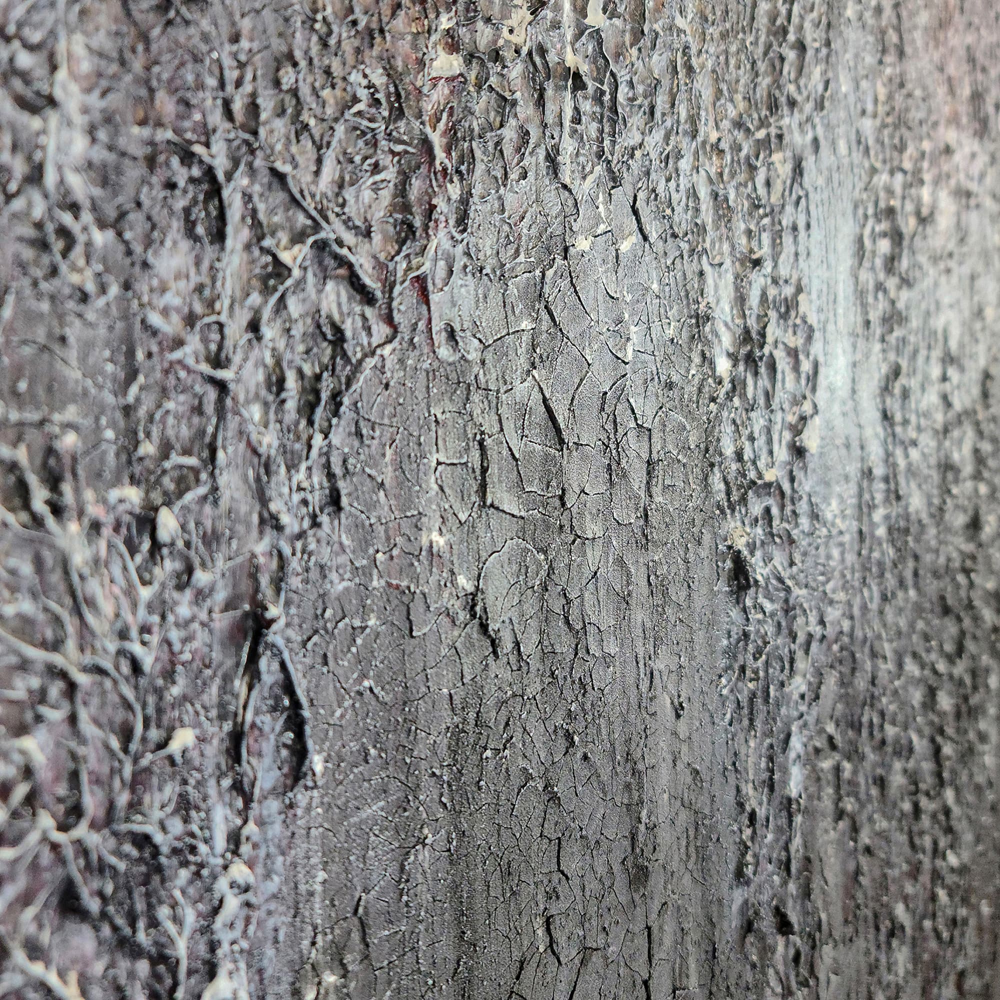 Bipolar – original textured painting by Lei-Kol